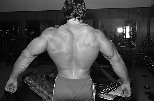 Mike Mentzer Training Less for Maximum Muscle Growth